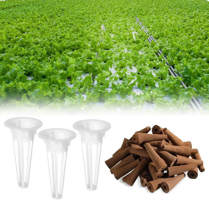Hidroponinio auginimo rinkinio pakaitiniai auginimo krepšeliai, tinkliniai tinkliniai puodeliai, skirti sodo sėklų ankštims, krepšeliai daržovėms braškėms