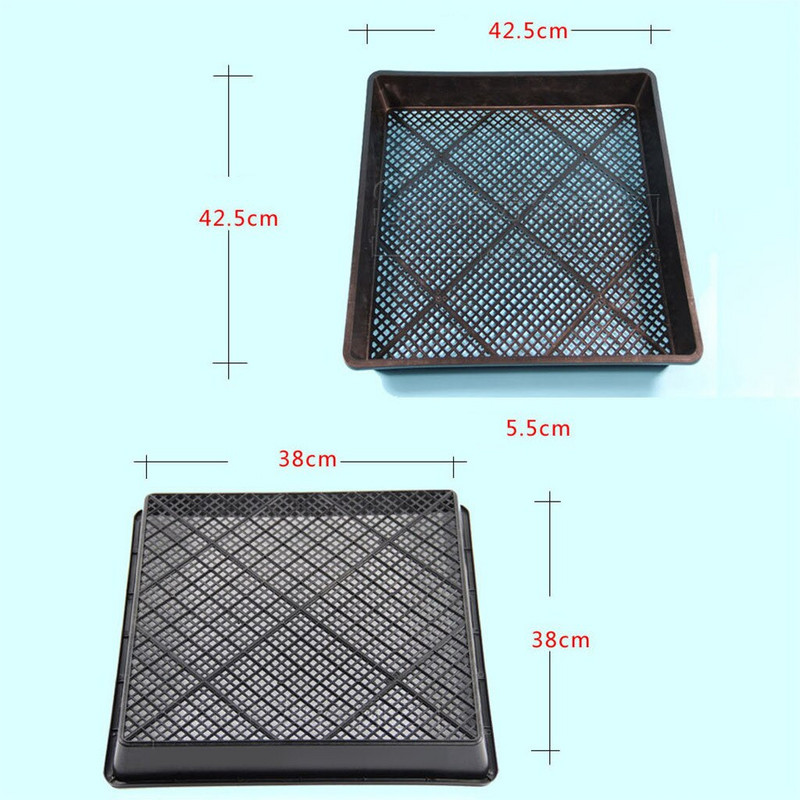 Stiprus ir dygstantis lėkštės sėjinukas Daržovių sodinukas Plokščias patvarus kiemas Veja ir sodas