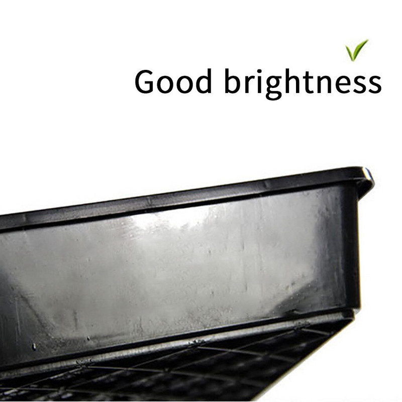 Stiprus ir dygstantis lėkštės sėjinukas Daržovių sodinukas Plokščias patvarus kiemas Veja ir sodas