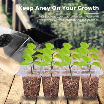12 Cells Hole Plant Seeds Grow Box Κηπουρική Δίσκος σποράς Εργαλεία φυτών Γλάστρες 3τμχ Μίνι θερμοκήπιο για σπορά Δίσκος με καπάκι