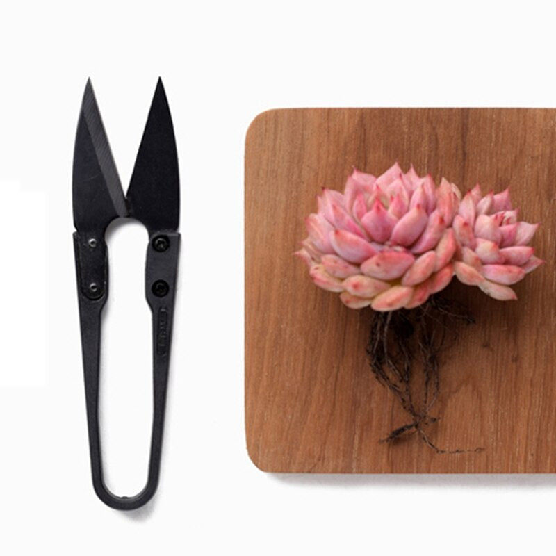 Mini sodo rankinių įrankių rinkinys Sultingi augalai Įrankiai Persodinimo Įrankiai Miniatiūriniai sodinimo sodo įrankių rinkinys kambariniams miniatiūriniams