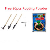 3 vnt./rinkinys mini sodo kastuvas grėblys kastuvas vazoninių augalų priežiūros įrankių mini sodinimo rinkinys medinio koto kastuvų rinkinys