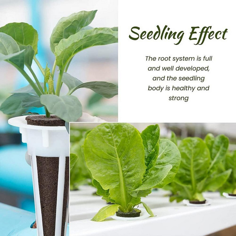 Náhradné pestovateľské koše - Sada štartovacích semienok Hydroponický pestovateľský systém Košíky so semienkami na pestovanie cherry paradajok a jahôd