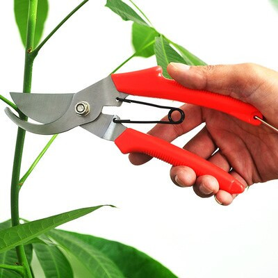 9-dielna sada záhradného náradia z nehrdzavejúcej ocele, vidly na vertikutáciu, paládiové zahustené nožnice, lopaty 