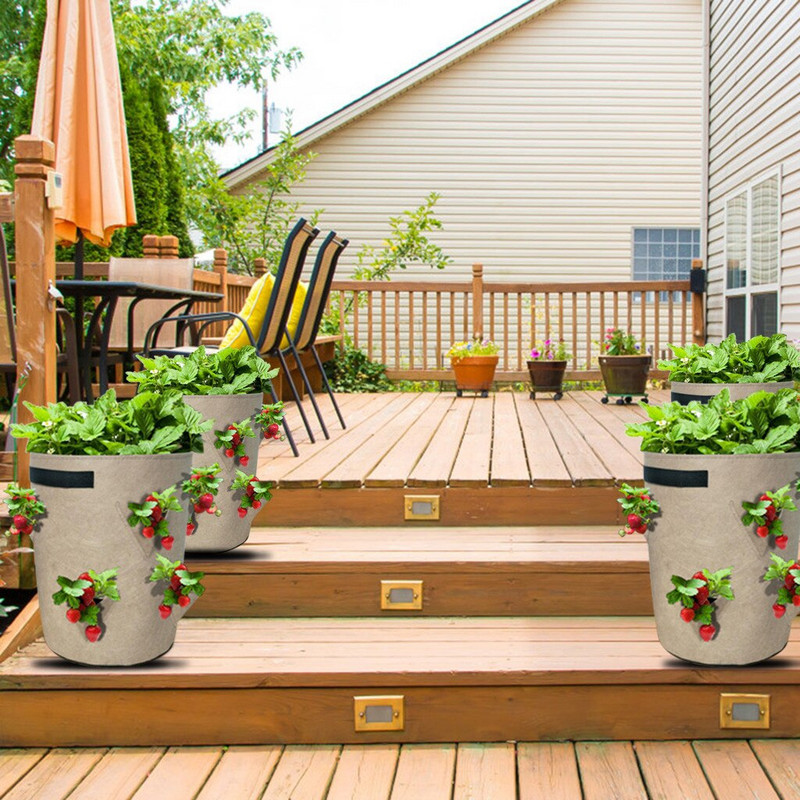 Páska na šalát, jahodová výsadba, plsť, vrecko na výsadbu, zahusťovacia taška na záhradný kvetináč