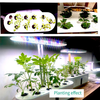 50 τεμ. Hydroponic Growing Sponge Practical Seed Pods Φιλικές προς το περιβάλλον λοβοί εκκίνησης σπόρων φυτών για Hydroponic System Garden Indoor