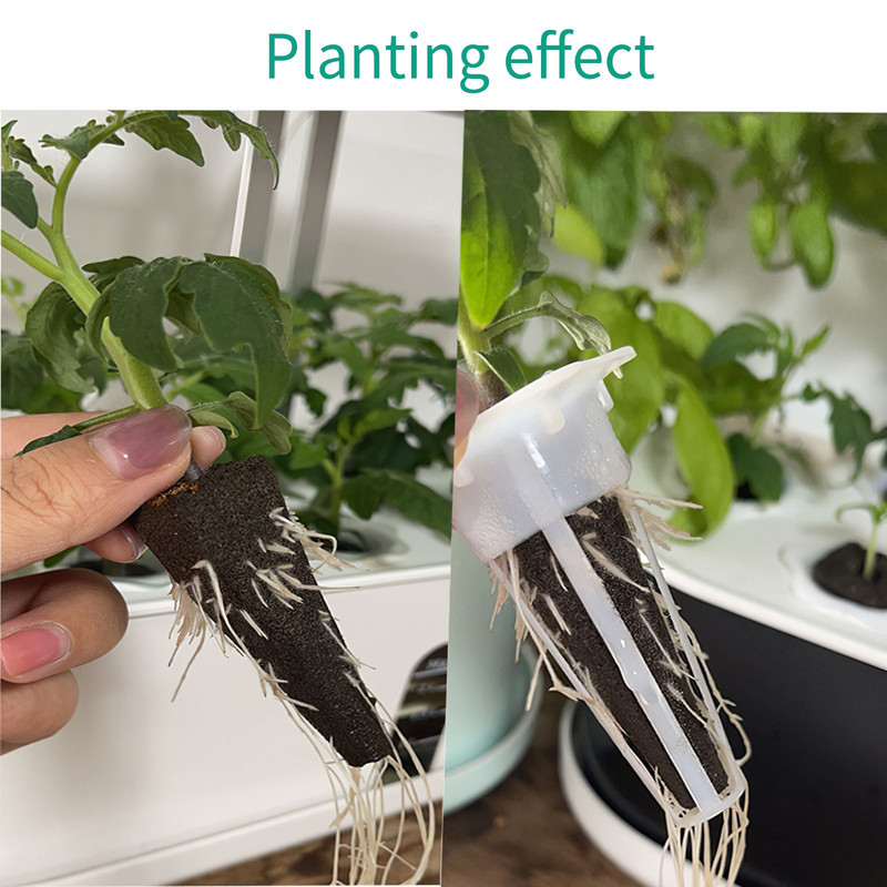 50 vnt. hidroponinės auginimo kempinės praktiškos sėklų ankštys Ekologiškos augalų sėklų pradinės ankštys, skirtos hidroponinės sistemos sodui viduje