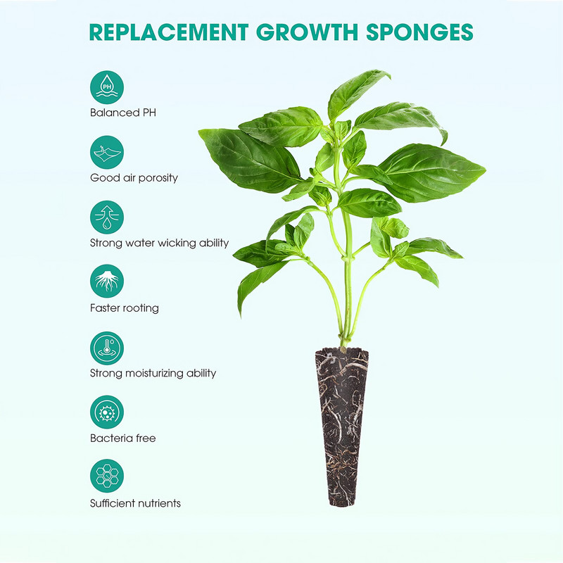 50 vnt. hidroponinės auginimo kempinės praktiškos sėklų ankštys Ekologiškos augalų sėklų pradinės ankštys, skirtos hidroponinės sistemos sodui viduje