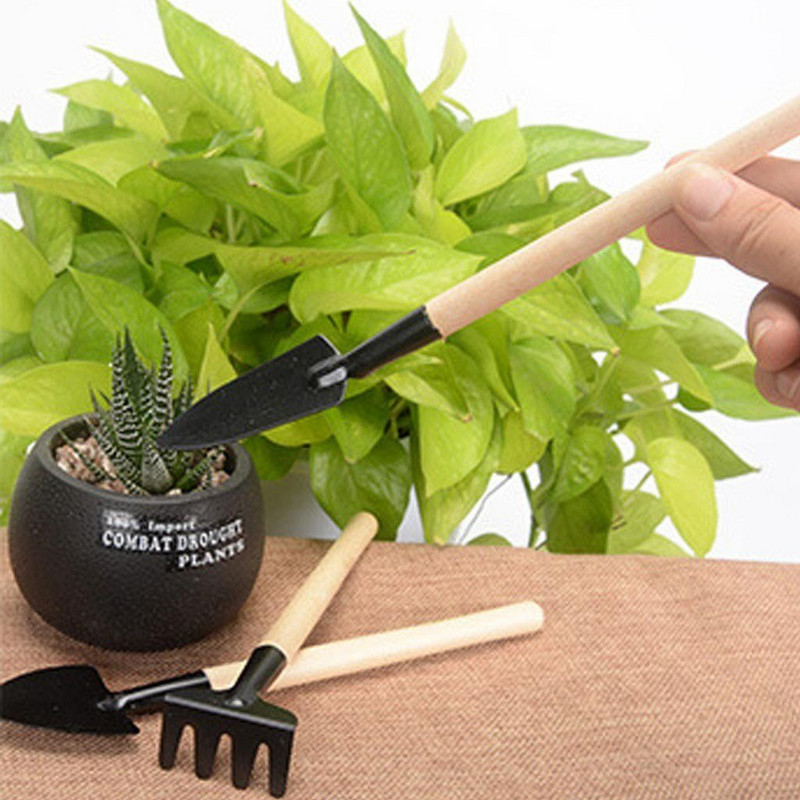 Hnojivo na trávu Ručný nástroj na starostlivosť o sukulentné rastliny Mini záhradné náradie na presádzanie 15 ks Terasový trávnik a súpravy na sadenie zeleniny