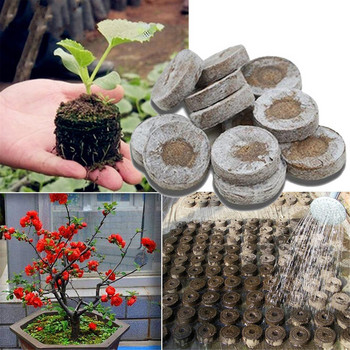 Grass Out 50PCS Easy Seed Plugs il Pallet to Starting Seed Pellets So Operate Block Patio Lawn & Garden Средство за засаждане
