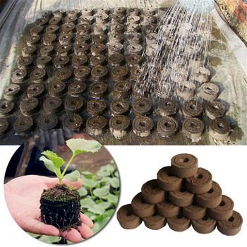 Grass Out 50PCS Easy Seed Plugs il Pallet to starting Seedling pellets So Operate Block Patio Lawn & Garden Planting Medium