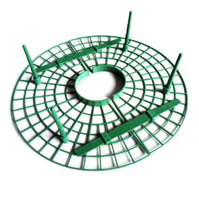 Heritage Oil Ekologiškas braškių puvinys Braškės Lietingas augalas Augantis dienoje Palaiko kiemo veją ir sodo kubelius