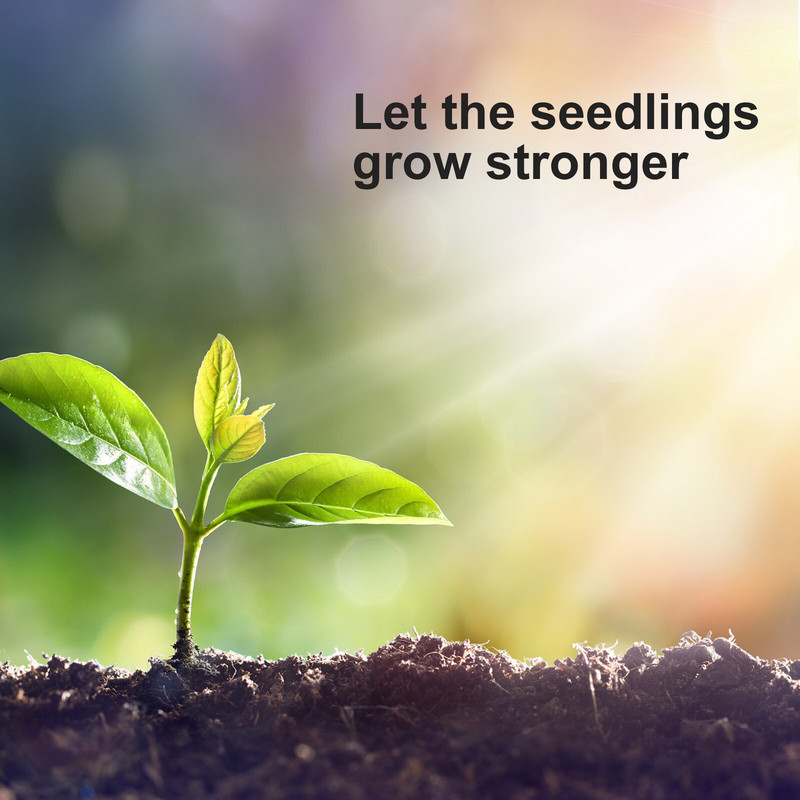 Tepelne odolný modrý malý priehľadný podnos, priehľadný pestovateľský kvetináč, sadenice, poľnohospodársky trávnik, súprava na pestovanie jahôd a záhrad.