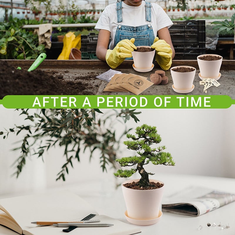 Súprava na pestovanie bylín v interiéri, kompletná súprava na výsadbu interiérových rastlín, štartovacia súprava na pestovanie interiérových rastlín, semená pre domácich majstrov, súprava na domáce záhradníctvo