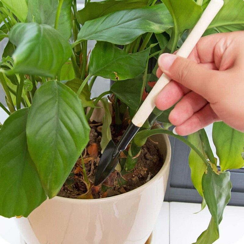 Sultingų augalų sodinimo įrankiai 16 vnt Mini sodo rankinis įrankis Kastuvas Grėblys Pincetas Virdulys Sultingi Augalai Sodinti Bonsai Įrankiai