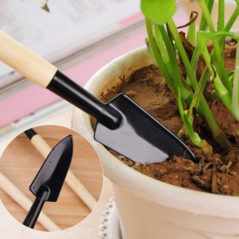 Sultingų augalų sodinimo įrankiai 16 vnt Mini sodo rankinis įrankis Kastuvas Grėblys Pincetas Virdulys Sultingi Augalai Sodinti Bonsai Įrankiai