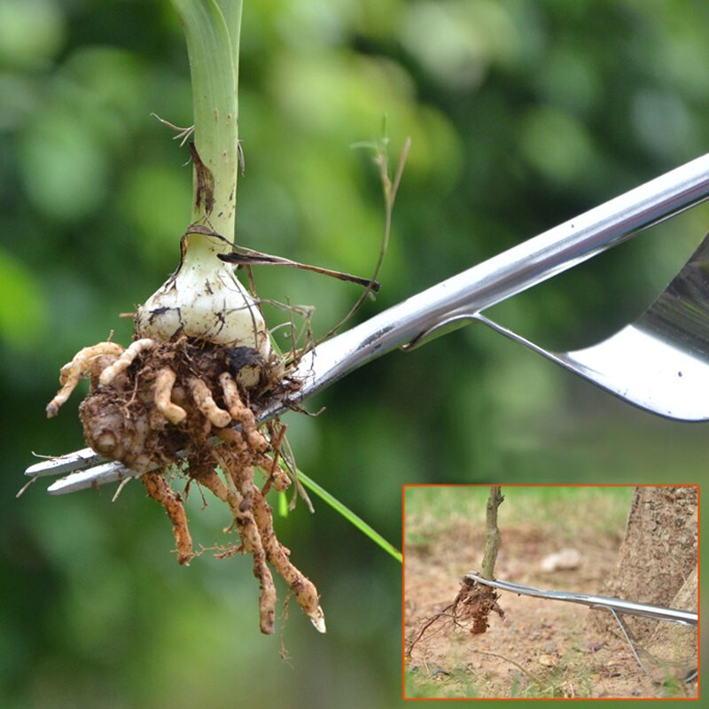 Nerūdijančio plieno rankinė ravėjimo mašina Piktžolės Kasimas šakėmis Piktžolės Pašalinkite Kastuvą Sodo kirpimo įrankiai Nuimami perjungiami Nuimami