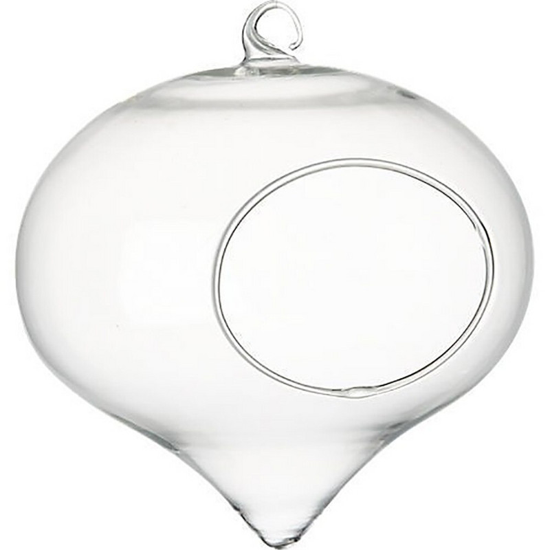 Sadenice hrozna, sklenené závesné rastliny, terárium, svadobný kvetináč, nádoba, domáca kvetinová dekorácia, váza, terasa, trávnik a záhrada, klonovacia súprava