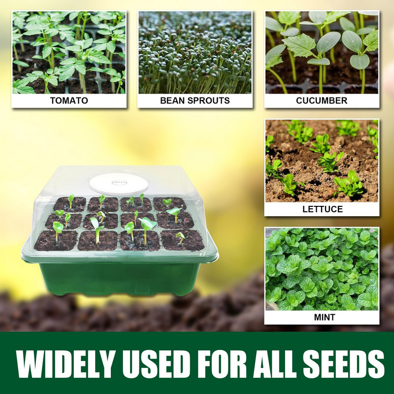 2 vnt. sėklų paleidimo padėklai su lengvų sėklų paleidimo rinkiniu, reguliuojamo drėgnumo sėklų paleidimo padėklai Augalų rinkinio pagrindas Sweet Grass 128 padėklas