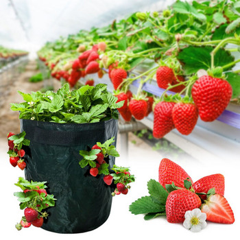 Fruit Nut Garden Thicken Strawberry DIY Planting Πανί Ζαρντιέρης Δοχείο Τσάντα PE Pot Patio Lawn & Garden Capillary για εκκίνηση