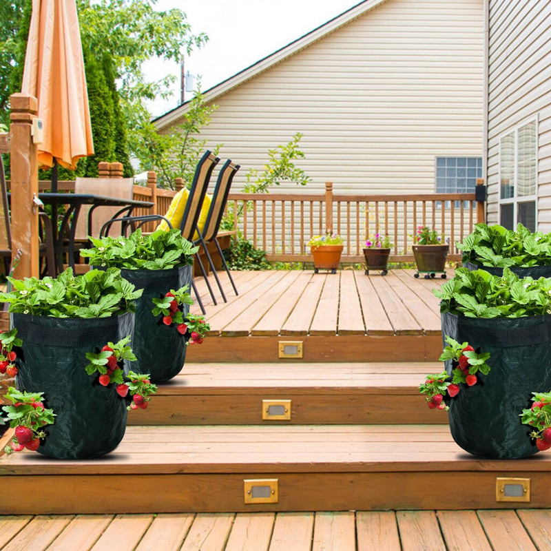 Vaisių riešutų sodas, storas braškių, pasidaryk pats, sodinimo audinys sodinimo maišelis PE vazonas terasa Veja ir sodo kapiliaras pradžiai