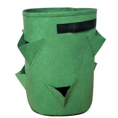 Pipirų augalai Braškės, tirštinti konteineriai, sodinimas sodas, veltinis, medvilninis vazonas, maišelis, kiemas, veja ir sodas, betelio lapai, augalai