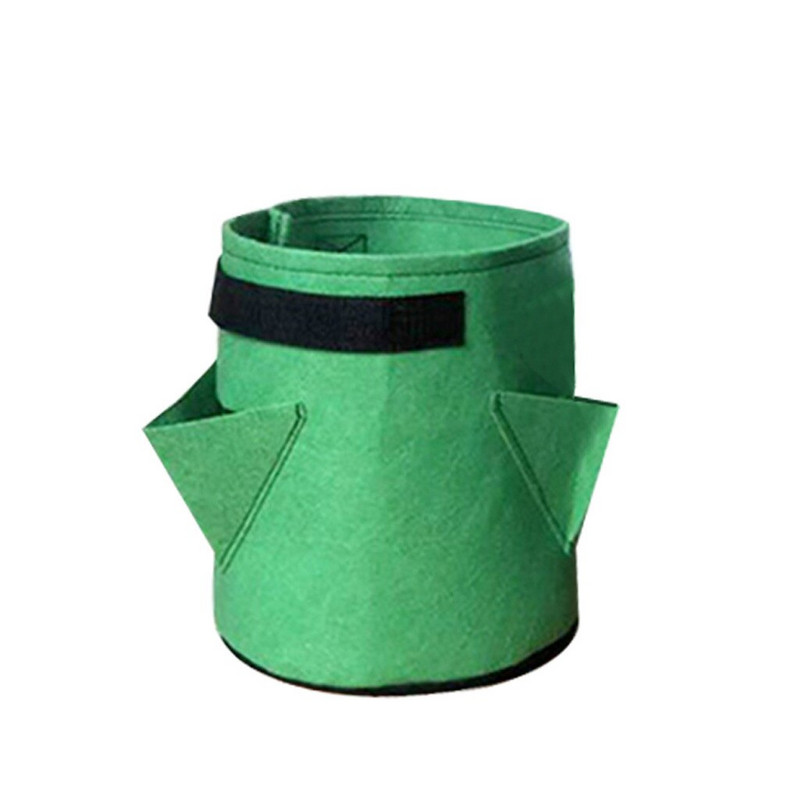 Pipirų augalai Braškės, tirštinti konteineriai, sodinimas sodas, veltinis, medvilninis vazonas, maišelis, kiemas, veja ir sodas, betelio lapai, augalai