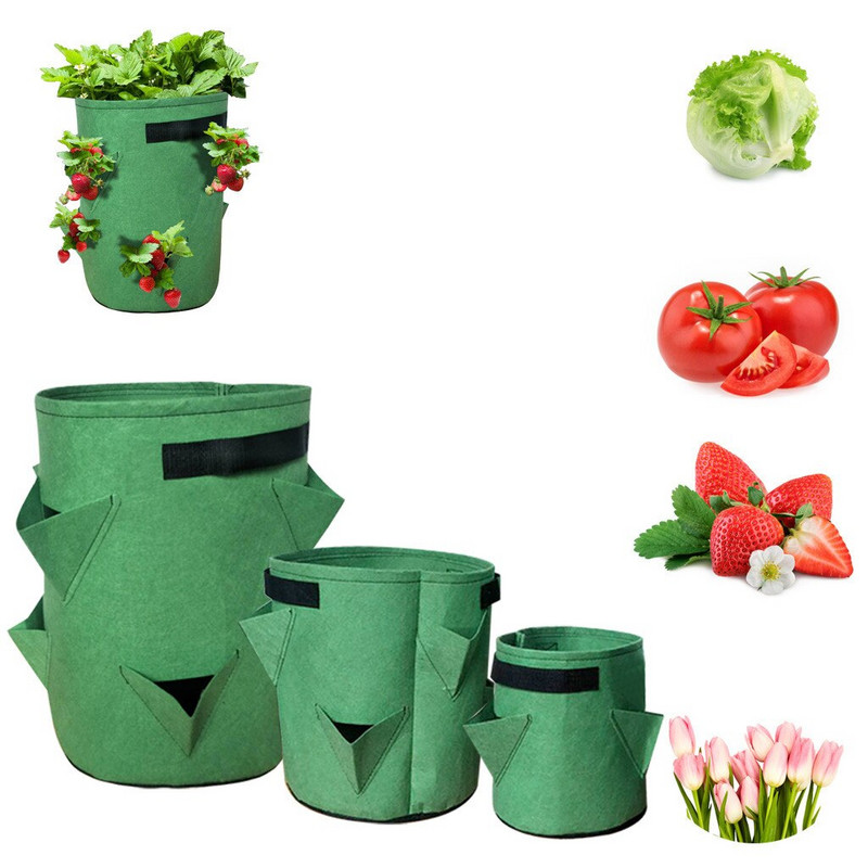 Pipirų augalai Braškės, tirštinti konteineriai, sodinimas sodas, veltinis, medvilninis vazonas, maišelis, kiemas, veja ir sodas, betelio lapai, augalai