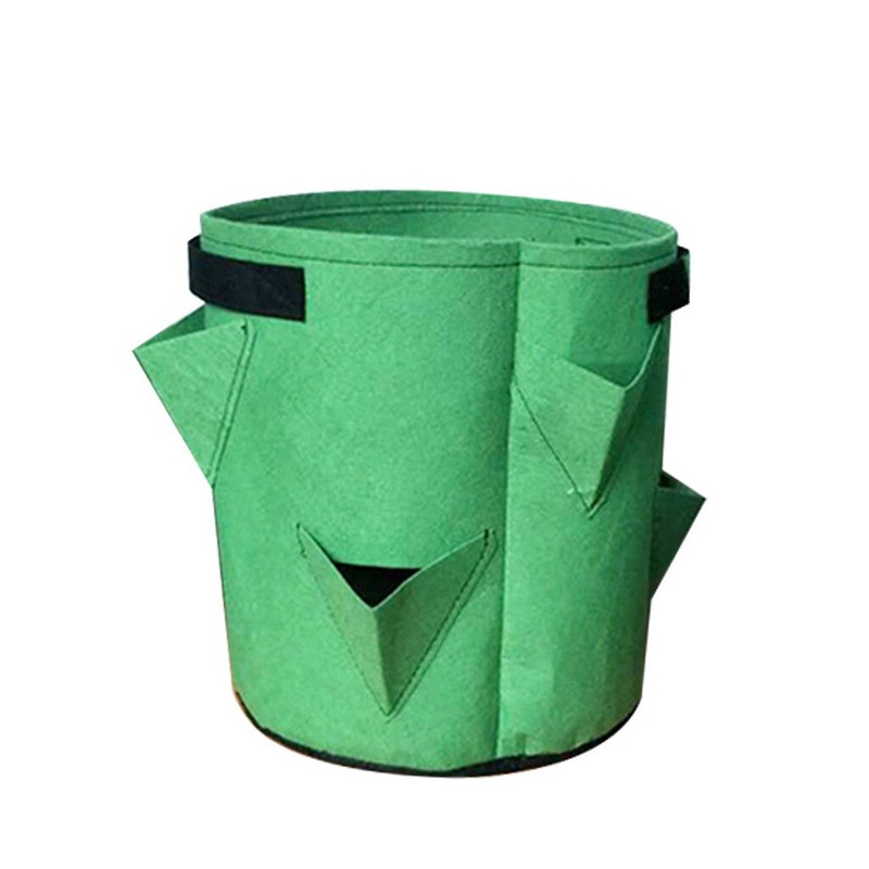 Pipirų augalai Braškės, tirštinti konteineriai, sodinimas sodas, veltinis, medvilninis vazonas, maišelis, kiemas, veja ir sodas, betelio lapai, augalai