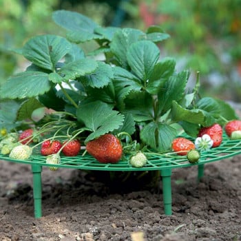 Plant Kit Off Day Strawberries the Plant Growing Keep 2PC Supports in Strawberry Rainy Rot Patio Lawn & Garden Corn Seder