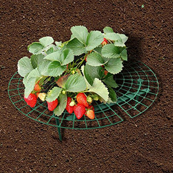 Комплект за растения Off Day Ягоди, които отглеждат растенията Запазете 2PC Подпори в Strawberry Rainy Rot Patio Lawn & Garden Сеялка за царевица