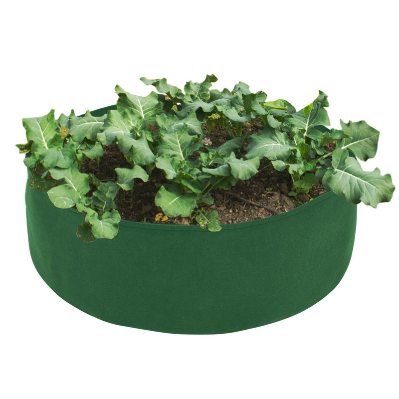 Drvená kukurica, jedlo, vyvýšený záhon na rastliny, záhradný kvetináč, vyvýšený zeleninový box, sadbovacie vrecko na trávu