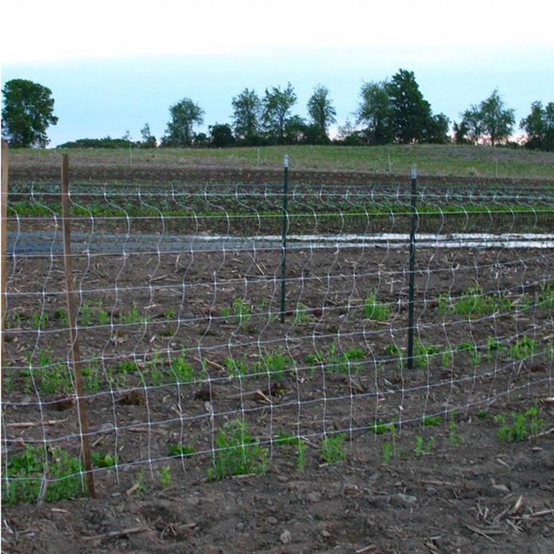 Sieť na izbové rastliny s levanduľou, tkaná sieť na výsadbu rastlín do záhrady/domu, na pestovanie, na popínanie, na terasu, na trávnik a na organickú záhradu