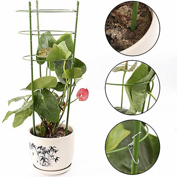 Cilantro Growing Kit Basket Trellises Ρυθμιζόμενο σταθερό φυτό Αναρριχώμενο φυτό Κήπος Δαχτυλίδι για φυτά στήριξης Patio Lawn & Seders