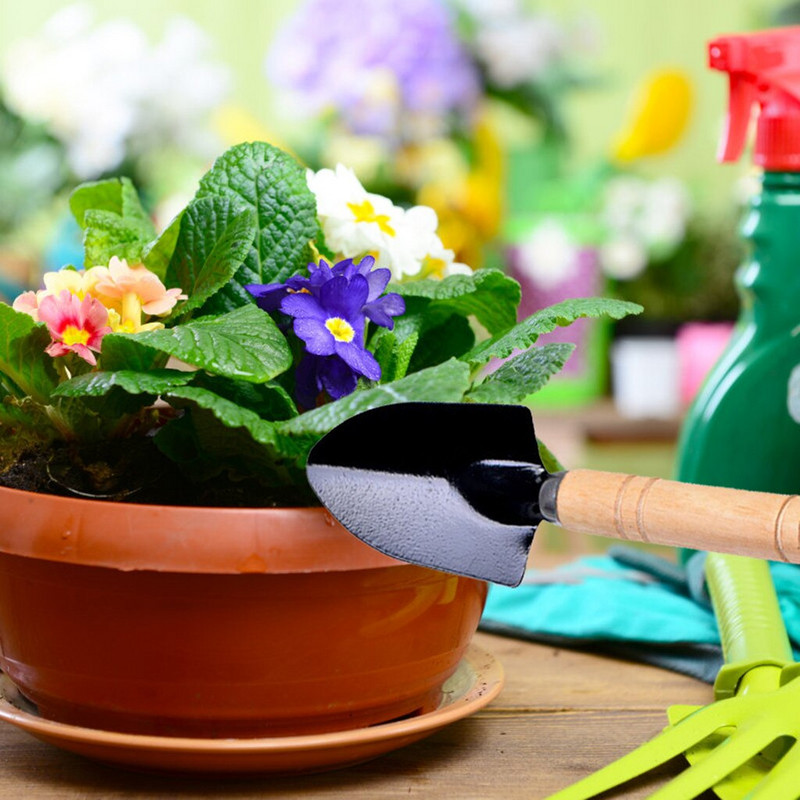 Plazivé rastliny, záhradníctvo, vnútorné, malé, na multifunkčné presádzanie, ručné náradie, starostlivosť o rastliny, záhradný trávnik a tráva, južné trávniky