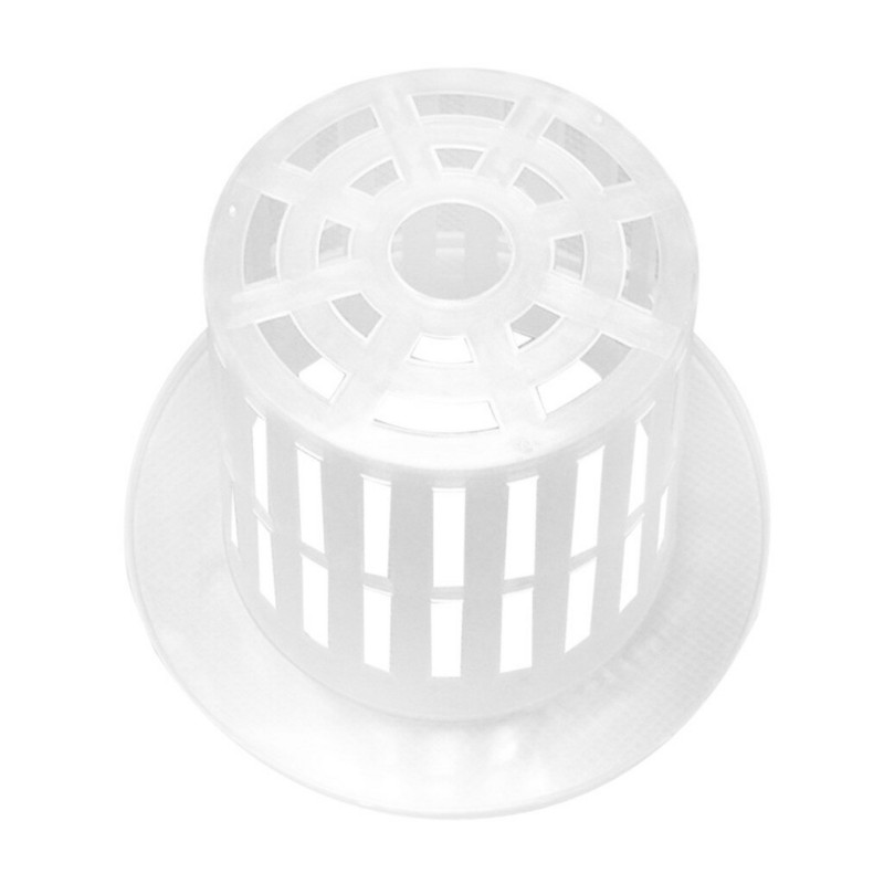 Tieňová tráva pre severné trávniky, bezpôdna výsadba, akváriové sadenice, záhradnícke potreby, pestovanie 50 ks trávnika na tieňovú trávu