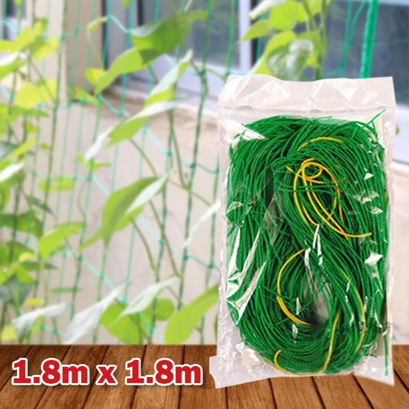 Kresai Laipioti Agurkai Daržovės Sodo Augalai Pledas Vaisiai Tinklas Vynmedžių Gėlių tinklelis Terasa Veja ir Sodo Varnų Maistas