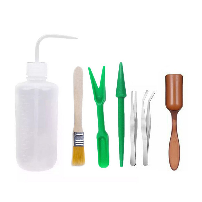 Klasy kukurice pre veveričky Súprava na sukulenty 7 ks Fair Garden Presádzacia sada miniatúr Náradie Výsadba Ručné pestovanie Potraviny na vonkajšie použitie