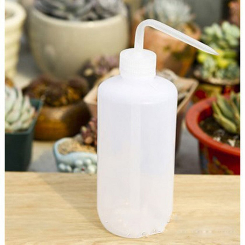 Klasy kukurice pre veveričky Súprava na sukulenty 7 ks Fair Garden Presádzacia sada miniatúr Náradie Výsadba Ručné pestovanie Potraviny na vonkajšie použitie