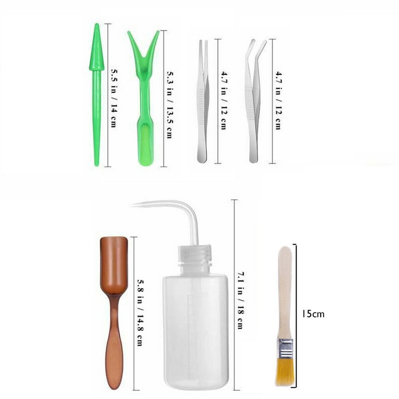 Klasy kukurice pre veveričky Súprava na sukulenty 7 ks Fair Garden Presádzacia sada miniatúr Náradie Výsadba Ručné pestovanie Potraviny na vonkajšie použitie