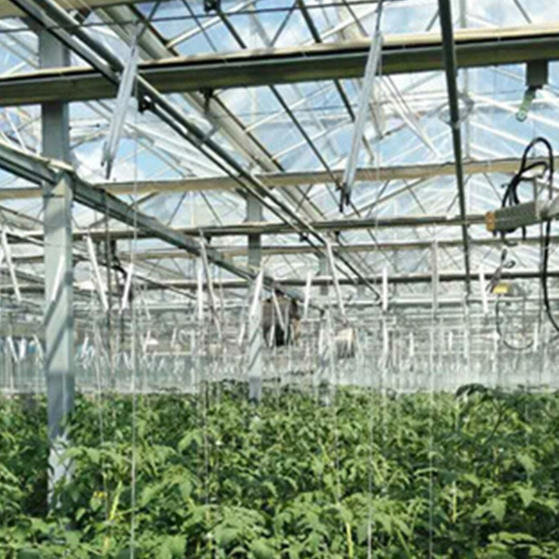 Sady cesnaku na jesennú výsadbu paradajok zo zeleniny, štiepkovanie paradajok, oporné klipy na paradajky, oporný hák na terasu, trávnik a organická zmes