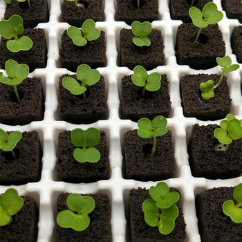 Lyric Fruit and Nut Gardening System Καλλιέργεια Υδροπονικά Εργαλεία λαχανικών Χώρος σφουγγάρι φορητό διασκορπιστή χόρτου