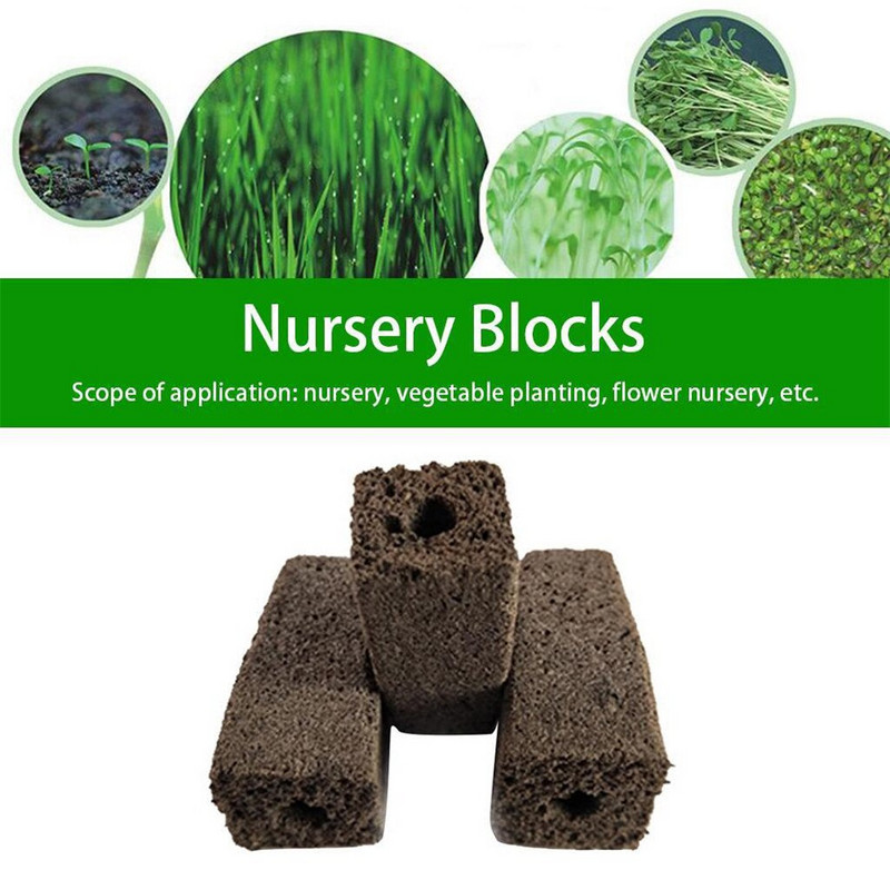 Lyric Ovocný a orechový záhradnícky pestovateľský systém Pestovanie hydroponických zeleninárskych nástrojov Bezpôdny špongiový ručný rozmetač trávy