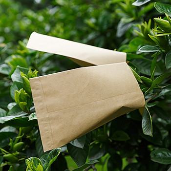 Herb Seedlings 100pcs Vintage Box Bag Pouch 6x10cm Glue Kraft Supplies Paper for Seed Patio Lawn & Northeast Mix Grass