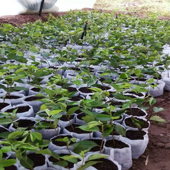 σε Home Garden Kit Bags 200PCS -Grow Bags -Biodegradable Pots Plant Nursery Seedling Non-woven Patio Lawn & Herb Garden Pack