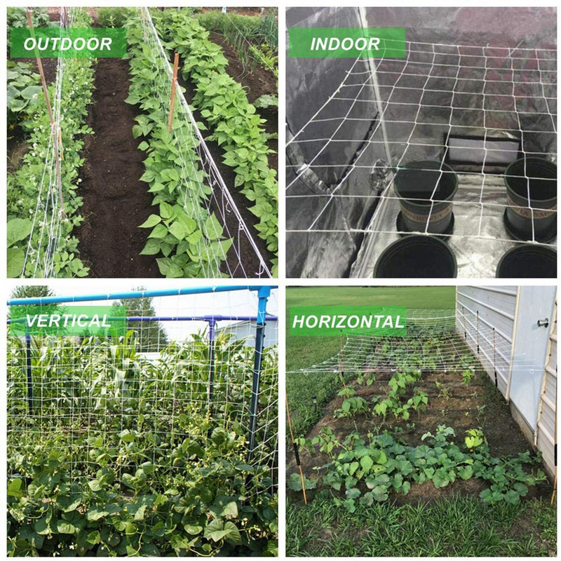 apvalūs pyragaičiai augalai tinkleliai, tvirti ir bet kokiam orui tinkami nailoniniai sodo pomidorai, laukiniai paukščiai neribojami