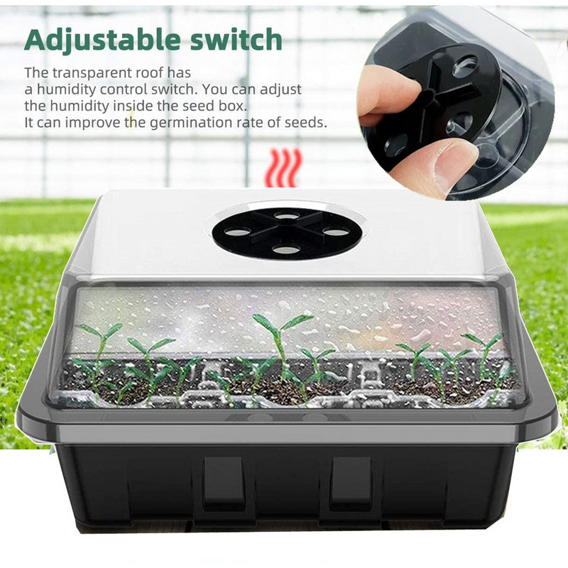 Elephant Bush Live Plant 3 paketų mini šiltnamis, skirtas sėjai, sėjos padėklas su dangčiu, 12 langelių viename dėkle Organinis bankas