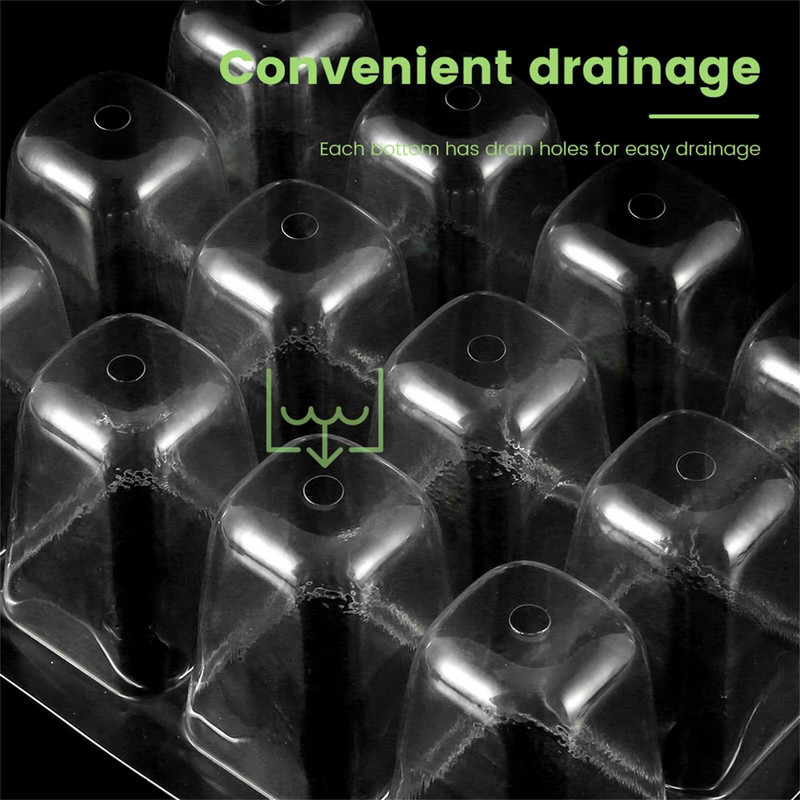 Elephant Bush Live Plant 3 paketų mini šiltnamis, skirtas sėjai, sėjos padėklas su dangčiu, 12 langelių viename dėkle Organinis bankas