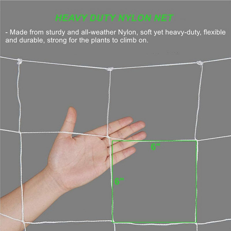 Nailono tinklelis, pagamintas iš žieminių derliaus, pagalbiniai augalai, augantys ešeriai, aviečių dėklas