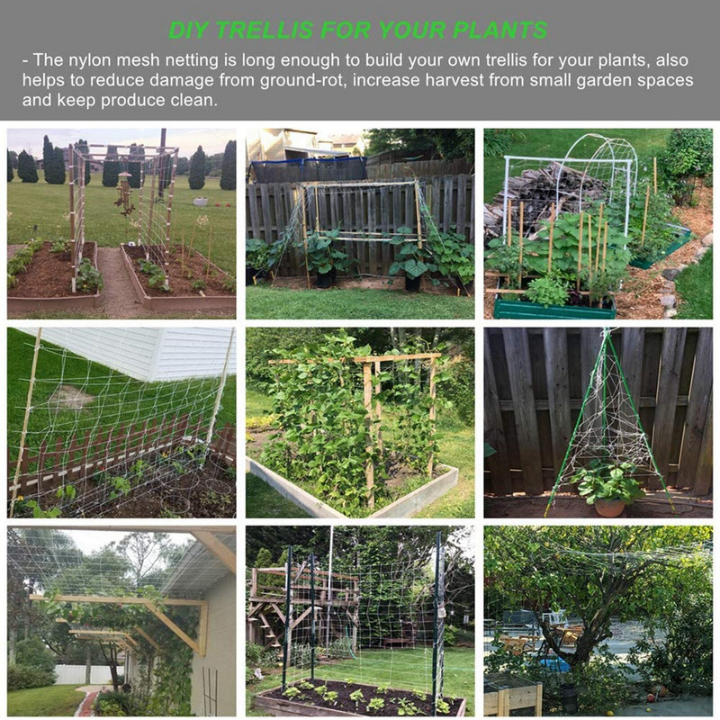 Nailono tinklelis, pagamintas iš žieminių derliaus, pagalbiniai augalai, augantys ešeriai, aviečių dėklas